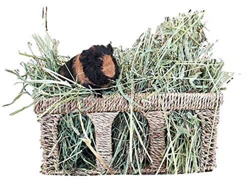 All Natural Seagrass Five Arch Guinea Pig Hay Rack with Option to Attach to Cage (Sea Grass Woven)