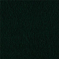 Polar Fleece Solid Hunter, Fabric by the Yard - color: Hunter