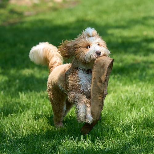 SPOT Skinneeez Leather Snake – 36" Stuffing-Free Dog Toy with Real Leather & 5 Squeakers, Tug Toy for Light to Moderate Chewers, Ideal for Large & XL Dogs - size: 36 Inch