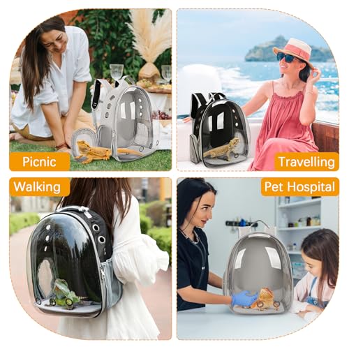 kathson Bearded Dragon Carrier with Harness and Leash Set, Large Reptile Travel Carrier Portable Lizard Backpack Clear Small Animals Carrying Bag for Gecko Hamster Rabbit Hedgehog Kitten (Gray) - color: Gray