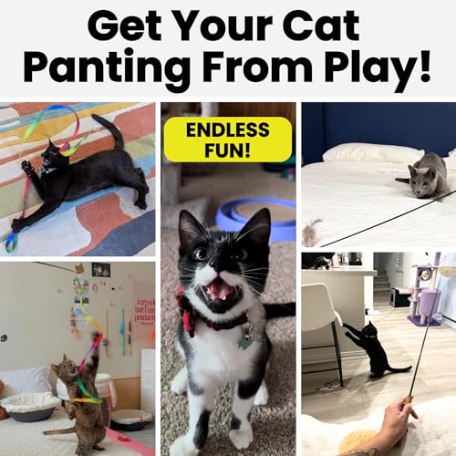 Forever Stick with Cat Toys and Strings Bundle - The Unbreakable Cat Wand Toy, Durable Cat Toy Wand, Extra Long Cat String Toy, Cat Fishing Pole Toy for Bored Indoor Adult Cats, Cat Stick Toy - size: Forever Stick and Extra Toys and Strings