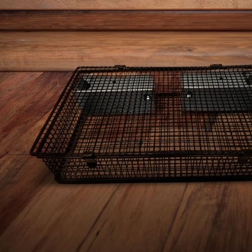 Rugged Ranch Products Mousinator Multi Catch Metal Wire Mouse Trap Cage with 2 Door Entry and Easy to Open Top Lid for Pest Control, Black - color: Mouse, size: 1 Pack