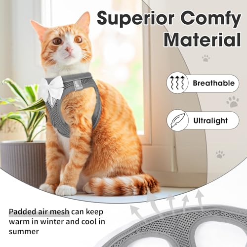 Cat Vest Harness and Leash Set, Escape Proof Kitten Harness Grey XS | Safe Reflective Strips, Adjustable Easy Wear Kitty Harness, Sturdy Clip Buckle, Breathable Mesh , for Kitty Puppy Bunny Walks - color: Grey, size: XS