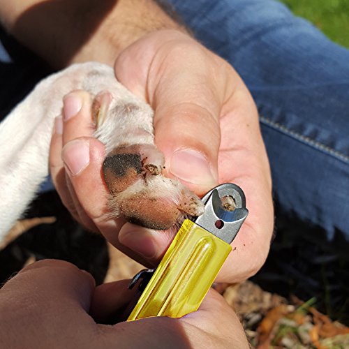 Deluxe Dog Nail Clippers for Large Dogs - Professional USA-Made Guillotine Trimmer - Heavy Duty Steel, Yellow - size: Large Clipper