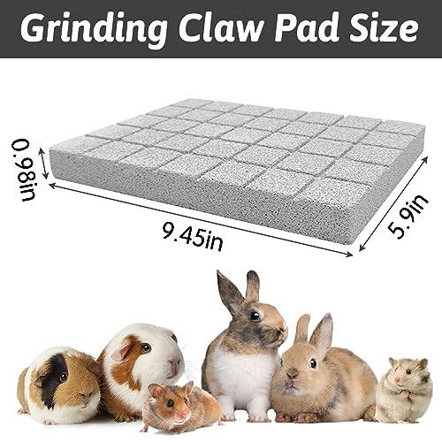 Hamiledyi Rabbit Scratch Foot Pads - 4 PCS Natural Small Animal Lava Stone Teeth Grinding & Scratching Pad for Rabbit, Guinea Pig, Rat, Gerbil, Chinchilla, Hedgehog - color: White-4PCS