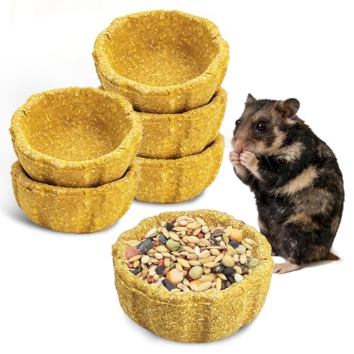 BNOSDM 6 Pcs Hamster Edible Premium Timothy Hay Chew Bowl Pumpkin Blend Rabbit Treats for Teeth Chewing Chinchilla Chew & Decor Toys for Syrian Dwarf Hamsters Gerbils Mice - color: 6PCS-Timothy & Pumpkin