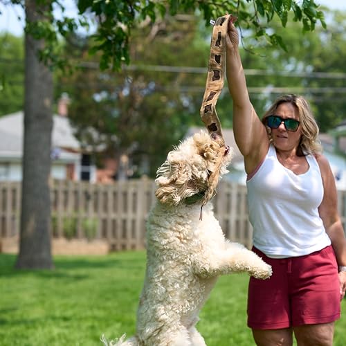 SPOT Skinneeez Leather Snake – 36" Stuffing-Free Dog Toy with Real Leather & 5 Squeakers, Tug Toy for Light to Moderate Chewers, Ideal for Large & XL Dogs - size: 36 Inch