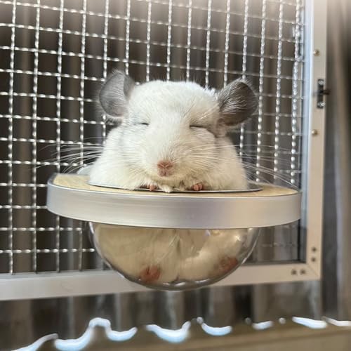 La La Pet®Chinchilla Wooden Capsule for Cage Shelve Transparent Hemispheric Hammock for Hamsters Squirrels Sugar Gliders Cage Accessories for Small Sized Pets White Birch