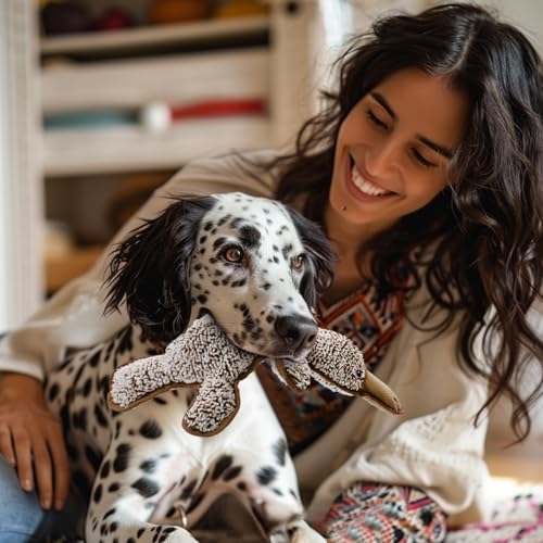 No Stuffing Dog Squeak Toys, Chew Toys for Small to Large Puppies(Platypus) | Durable Plush Puppy Teething Toys, Interactive to Keep Pets Busy, Toss Fetch Tug Play, Best Birthday Gift - color: Coffee
