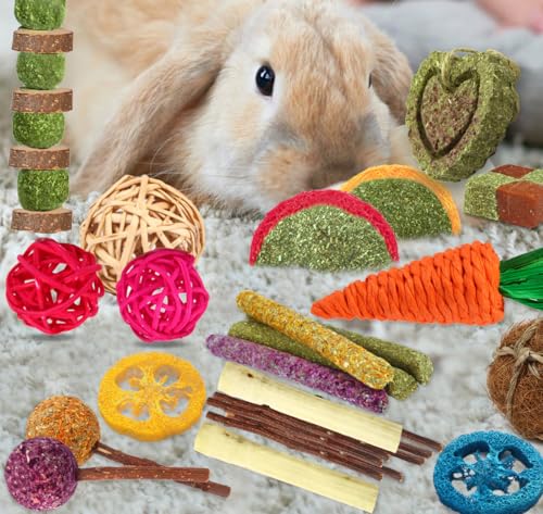 YIXUND Rabbit & Guinea Pig Toys - Natural Timothy Hay & Apple Wood Sticks for Teeth Care - Handmade for Hamster, Bunny, Chinchilla (27 Pcs) - color: 27 Pcs