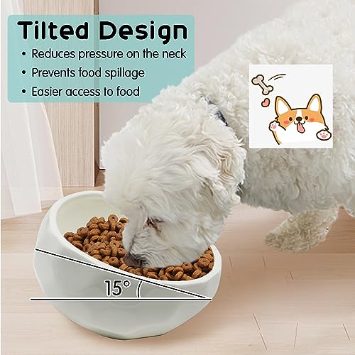 kathson Slanted Ceramic Dog Bowl Tilted 15° Cat Food Water Bowls Dish Animal Pet Comfort Feeding Bowls Heavy Weighted Feeder for Wet or Dry Food (White) - color: White