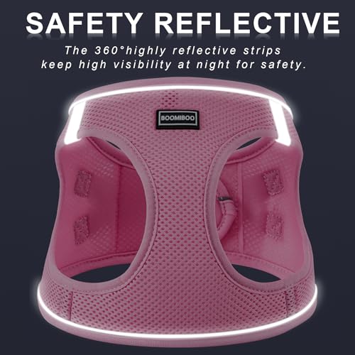 Dog Harness with Leash Set, Step-in Adjustable Puppy Pet Vest,Cranberry XXS | Lightweight Breathable Air Mesh, Night Safety Reflective, No Pull Puppy Vest Harnesses for Small Medium Large Dogs, Cats - color: Cranberry, size: XXS(Chest:10"-12")