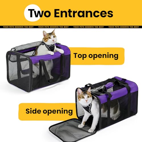 Conlun Cat Carrier Bag,Soft-Sided Pet Carriers for Dogs with 4-Sided Mesh,Airline Approved Cat Transport Carrier for Small&Medium Cats Kitten Puppy Up to 15LB,Collapsible Cat Travel Carrier-M,Purple - color: Purple, size: M