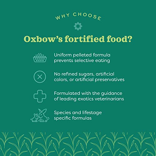 Oxbow Essentials Adult Guinea Pig Food - All Natural Adult Guinea Pig Pellets- No Artificial Ingredients- Veterinarian Recommended- All Natural Vitamins & Minerals- Made in the USA - 25 lb. | Guinea Pig Pellets, Vitamin C For Guinea Pigs, Stabilized, High
