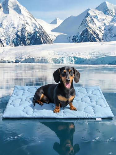 Huafly Dog Cooling Mat,Dual-Sided Cooling Mat for Dogs–Cooling Fabric for Summer,Velvet for All Seasons–Portable for Crate,Car Seat,Sofa&Floor,Machine Washable,Keeps Cats,Dogs&Puppies Cool,Cloud Blue - size: L: 48.0" L x 28.0" W x 0.8"Th