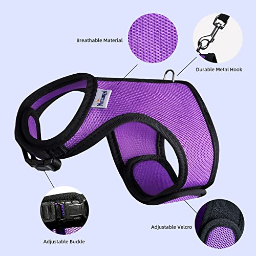 Niteangel Adjustable Soft Harness with Elastic Leash for Rabbits (XL, Purple) - color: Purple, size: XL