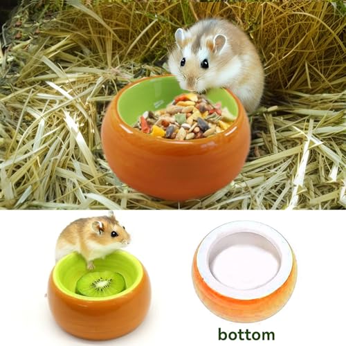 JSLZF Hamster Food Bowl Ceramic Small Gerbil Dish Prevent Chewing (3 PCS) | Small Animal Bowl for Rat and Ferret, Prevent Knocking Over and Food Splashing, Fruit Pattern, Easy to Clean