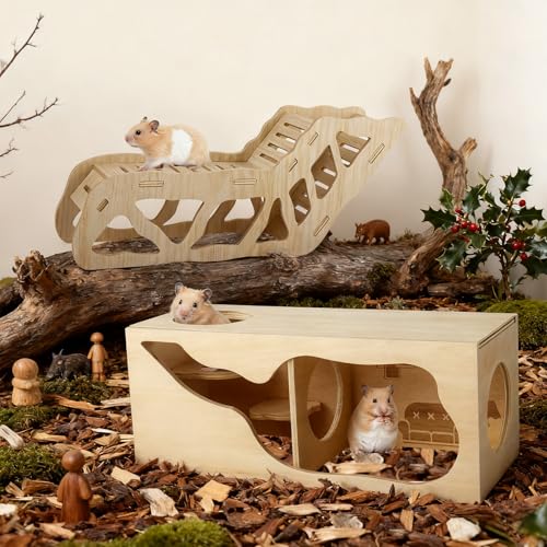 2Pcs Hamster House and Tunnel, Wooden Exploring Tunnel with Ladder, Small Animal Playground Exploring Toys for Syrian Dwarf Hamsters Gerbils Guinea Pig(Style1) - color: Style1