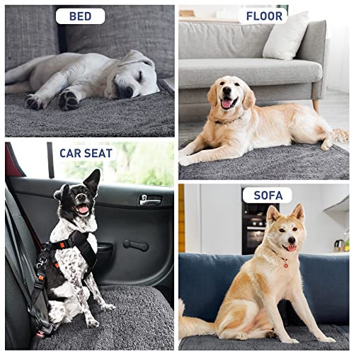 Kritter Planet Waterproof Pet Blanket, Reversible Throw for Dogs and Cats | 50 x 60 Inch, Washable Sofa and Bed Protector, Shields Furniture from Fur, Dirt, Scratches and Everyday Spills - color: Grey/Charcoal Grey, size: 60"x50"