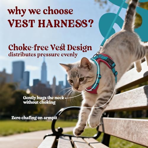rabbitgoo Cat Harness and Leash Set, Escape Proof Vest, Red & Teal | Soft Breathable Mesh, Easy Adjustable Fit, Snap Buckles, Sturdy Clip, Reflective Strips, for Kittens & Small Cats Walks, Xxs - color: Red & Teal, size: Xxs