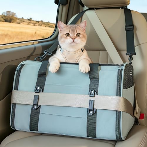 PETSFIT Large Cat Carrier with Patented Safety Buckles,Big Cats Up to 20 lb | Secure Carrier for Safe Driving, Lockable Zippers, Safety Tether, Travel Pet Carrier for Trips & Vet Visits, 19 x 12 x 12 - color: Cyan blue, size: 19.0"L x 12.0"W x 12.0"H