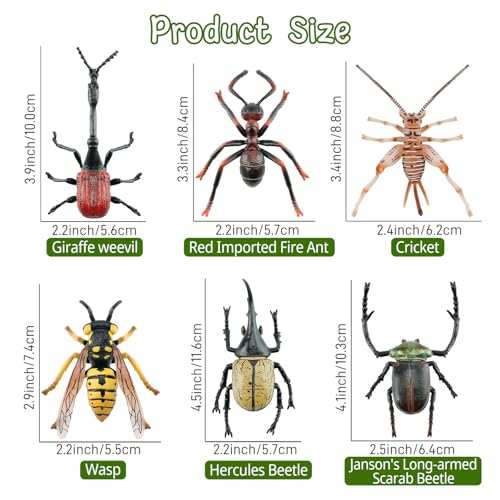 Toymany 12PCS Realistic Insects Figurines Toys - Plastic Bugs Figures Set with Cricket Bee Ant Dung Beetle, Educational Toy Cake Toppers Christmas Birthday Gift for Toddlers Kids - style: Insects-1