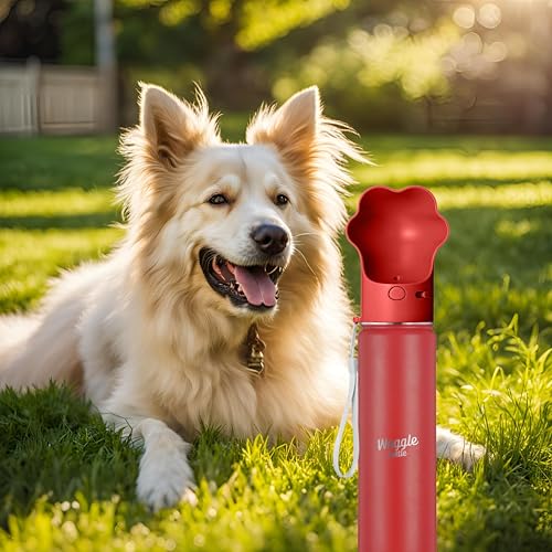 Stainless Steel Dog Travel Water Bottle, Vacuum Insulated Portable Dog Water Dispenser, Drink Cup and Snack Container On The Go, Outdoor Walking, Hiking, Travel (Red, 22oz) - color: Red