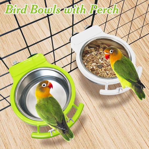 BNOSDM 2 PCS Bird Feeding Dish Cups with Perch Stand Hanging Stainless Steel Bird Bowls Food Container Food and Water Bowls with Spoon for Budgie Cockatoo Finch Lovebirds Pigeons (Green&White) - color: 2 Pcs Green & White