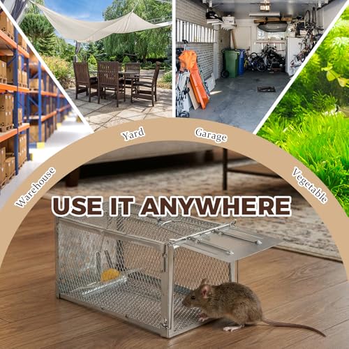 2 Pack Humane Rat Trap Cage, Live Chipmunk Rodent Cage Indoor Outdoor | Humane Rat Trap Cage Reusable Metal Mouse Trap for Rats, Mice