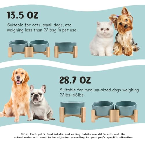 SPUNKYJUNKY 15° Slanted Ceramic Dog and Cat Bowl with Wooden Stand, Tilted Bulldog Food and Water Bowl No Slip Non-Spill for Cats Medium Dogs Big Face Pets 13.5 OZ (1.7 Cups, Light Green × 2) - color: Light Green, size: 1.7 CUPS × 2