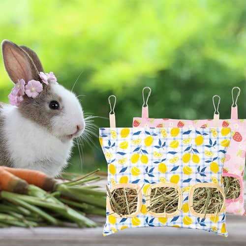 Lesnala 2 Pcs Canvas Hanging Bunny Hay Feeder Bags 3 Holes 2 Styles | Rabbit hay feeder Bag, Guinea Pig Hay Bag, Large Capacity Cotton Canvas Fabric, for Chinchillas Hamsters & Other Small Pets - color: Fruit pattern