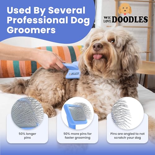 Slicker Brush for Dogs, Pet Grooming Brushes for Doodles & Poodles, Small | Best Brush For Long Haired Dogs, Dematting Comb & Deshedding Tools For Goldendoodle Coats, Puppy Matting Grooming Supplies - size: Small Slicker Brush