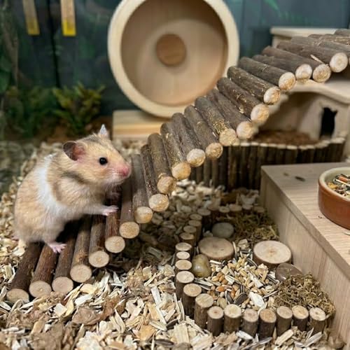 Hamster Hideout Tunnel and Hamster Bridge Set, Wooden Hamster Cage Accessories, Hamster Platform and Hamster Toys, 2-Chamber Multi-Room Climbing Toy for Syrian Dwarf Hamsters, Gerbils, Rats