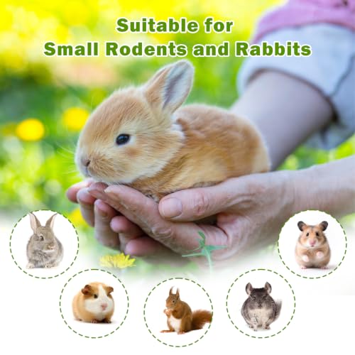6PCS Timothy Hay Toy for Rabbits Bunny Chew Toys for Teeth Timothy Hay Rings for Small Animals Guinea Pigs Chinchillas Hamsters Bunnies Digestion Care