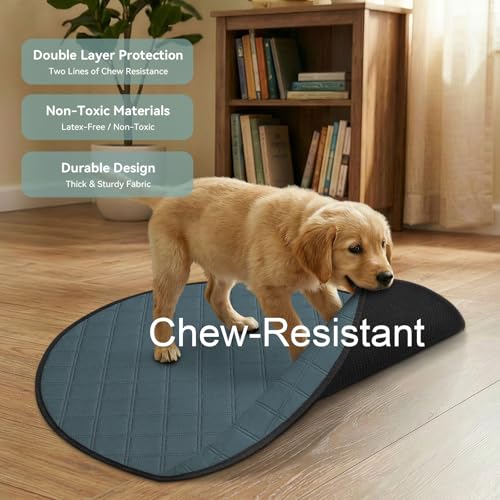 Siedihit Washable Reusable Pet Pee Pads, Absorbent Non-Slip Training Mat | for Dog Cat Rabbit Puppy Kitten, Whelping Playpen Crate Bed Cage Home Indoor Outdoor (Medium - 2pack, Round) - size: Medium - 2pack