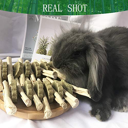 kathson Guinea Pig Treats Hanging Bunny Chew Toys for Teeth Grinding, Organic Bamboo Sticks Natural Rabbit Enrichment Toys for Small Animals Hamster Chinchilla 2 Pack - size: 2 Count (Pack of 1)