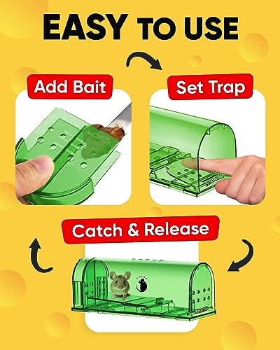 Motel Mouse Humane No Kill Mouse Traps Live Catch & Release - 4 Pack | Imrpoved Tail Protection • Kid & Pet Friendly • No Touch Release • Reusable Design • Easy to Use - color: Regular Green 4 Pack