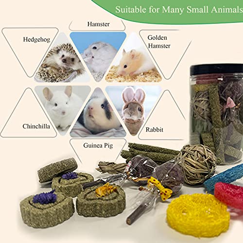 Rabbit Chew Toys for Teeth, 16PCS Natural Timothy Hay Chew Toy, Improve Dental Health for Bunny/Chinchilla/Guinea Pig/Hamsters/Holland Lop, Small Rodent Pet Molar Teeth Treats Toys - size: 16 PCS