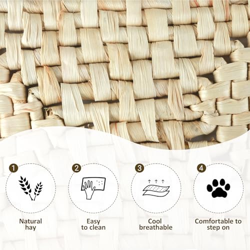Rabbit Grass Mat,Corn husk Woven Natural Grass Bed Mat for Small Animals,Non-Toxic & Durable Chew Toy Nest Pad,Ideal Cage & Playpen Bottom Mat for Rabbits,Guinea Pigs,Hamsters,Rats & Parrots (6pcs) - size: 6pcs