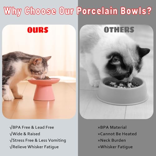 Extra Wide 6.1" Raised Cat Food Bowl, Shallow Ceramic Elevated Cat Feeder, Anti Vomiting, Stress Free, Whisker Fatigue, Pet Food or Water Bowl, Pink - color: Pink-Shallow