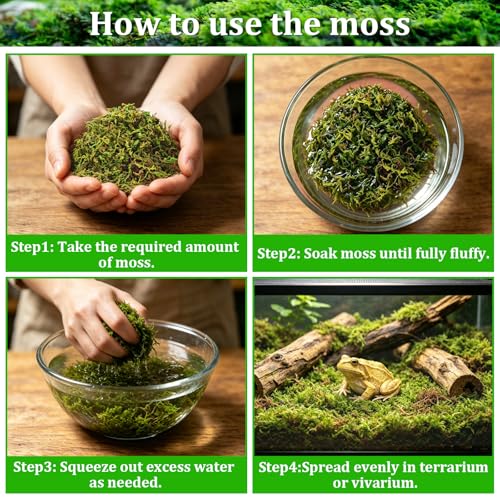 Riare 7OZ Natural Sphagnum Moss for Reptiles-10QT Soft Reptile Moss Bedding | Moisture Retaining, Terrarium Moss Reptile Substrate for Tortoises, Turtle, Snakes, Leopard Geckos, Frogs, Orchids Plants - color: 7OZ