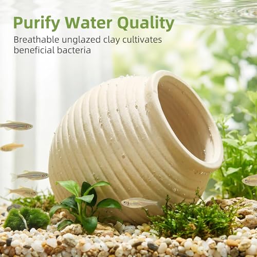 SpringSmart Aquarium Decor Rock Betta Fish Tank Decorations Ceramic Hideout Stone for Fish Shrimp Turtle Crab to Breed, Rest and Play, Small Fish Bowl Hiding Cave, Pot Shaped Betta Toys - size: TG