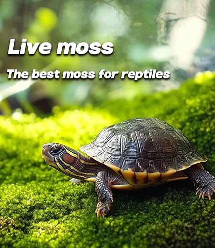 Live Moss for Terrarium Bedding & Reptile Enclosures | Moisture-Holding Layer, Humid Hide Accent, Forest-Floor Look, Easy to Trim, For Frogs, Geckos, Turtles, Snakes