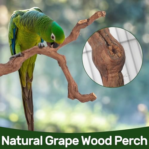 3-Piece Premium Bird Perch Stand with Natural Grape Wood Branch, Paw Grinding Fork, Chewing Stick, Cage Accessories for Parakeets, Budgies, Cockatiels, Finches, Lovebirds - size: 3Piece