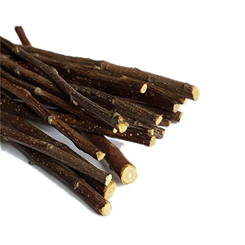 sharllen 500g(18oz) Apple Sticks Pet Chew Toys for Rabbits Chinchilla Guinea Pigs - size: 1 Fl Oz (Pack of 1)