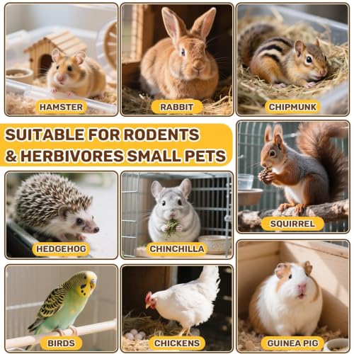 Sukh 5.64oz Natural Botanical Rabbit Treats for Guinea Pig & Hamster | 160g Healthy Natural Mixed Freeze Dried Vegetable,Flower & Fruit Hamster Treat for Bunny,Guinea Pig,Hamster,Chinchilla,Gerbil