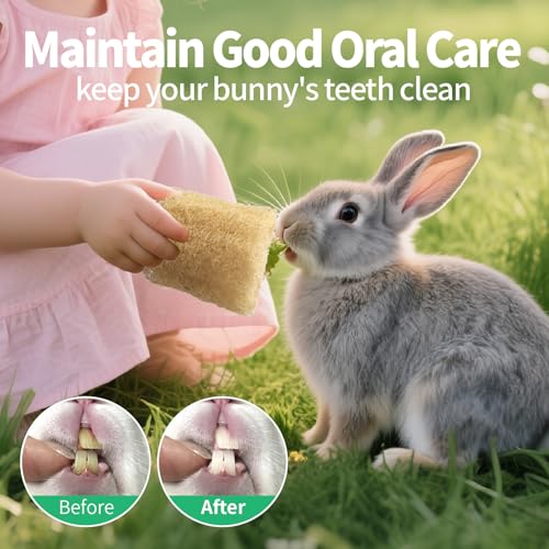 BESNEW Rabbit Chew Toys,100% Natural Loofah Without Additives,Bunny Chew Toys for Teeth,Fiber-Rich Rabbit Treats for Bunny Chinchilla Dogs - style: 1 ps
