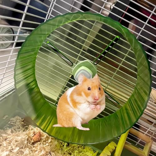 Birds Running Wheel Exercise Toys, Parrot Hamster Exercise Wheel Toy, Quiet Running Wheel for Parrots Bird Parakeets Hamster Guinea Pig Budgie Lovebird and More (Green)
