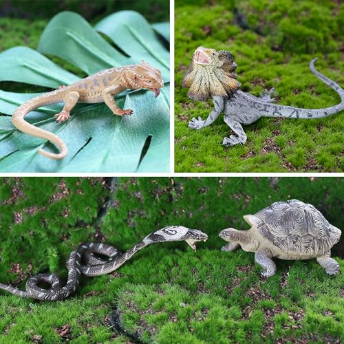 Toymany Reptile Animal Figurine Toys Set, 12 PCS Halloween Desert Amphibians Animal Figures with Komodo Dragon Lizard Snake Chameleon Rainforest Cold Blooded Animals Figures Party Favor for Kids - style: Reptile Animal Figurine