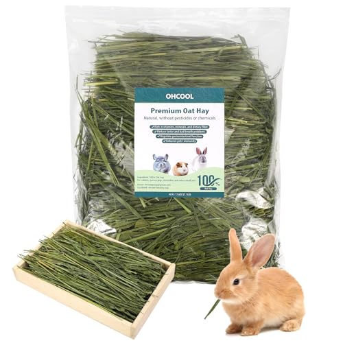 Premium Oat Hay, 1.1LB Small Pet Feed | Premium dust free natural green oat hay, suitable for rabbits, guinea pigs, chinchillas, hamsters, gerbils - size: 1.1 Pound (Pack of 1)